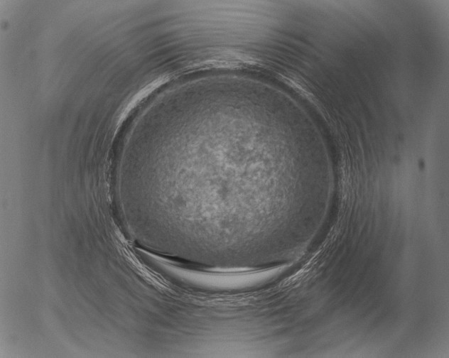 X0000055991026200509021633