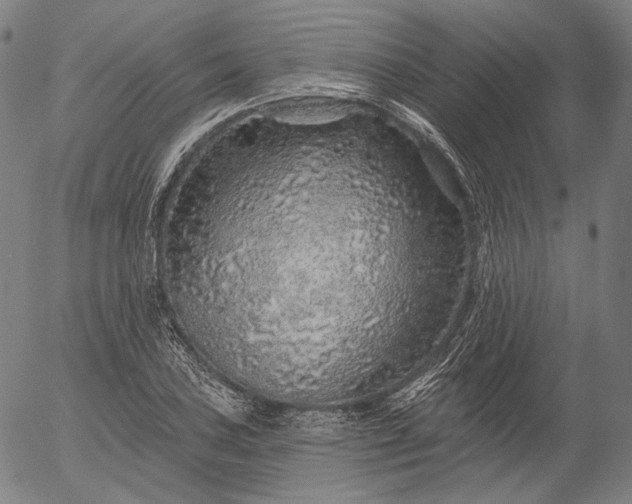 X0000055991027200509021633