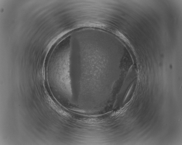 X0000055991028200509021633