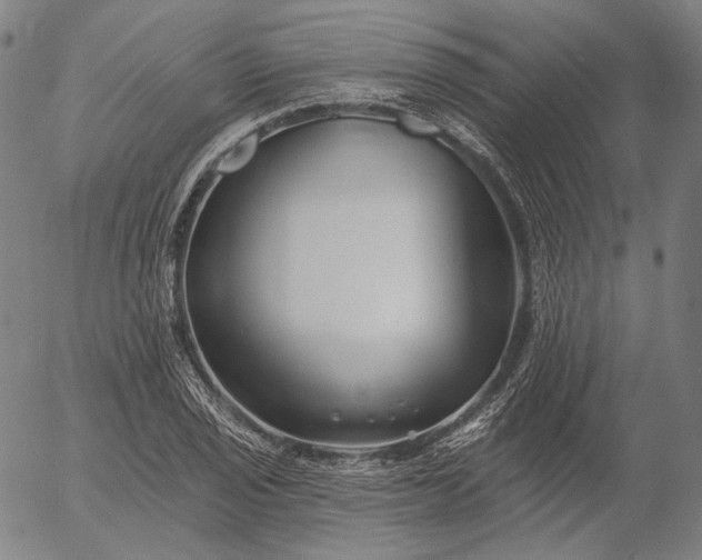 X0000055991029200509021633