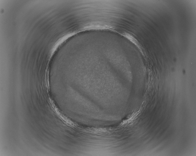 X0000055991030200509021633