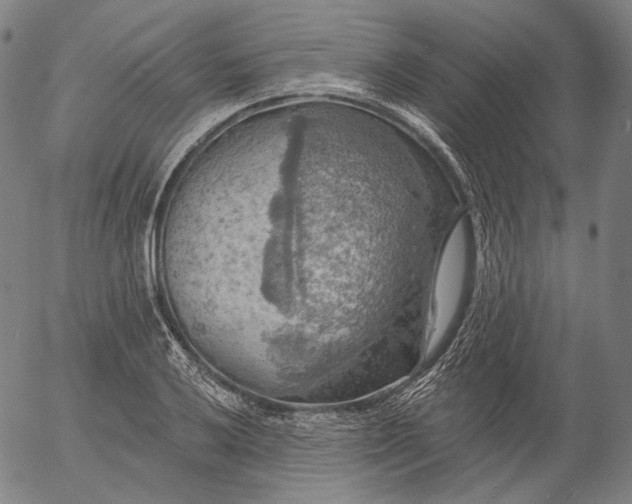 X0000055991032200509021633