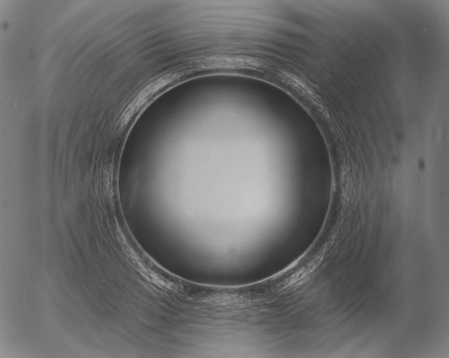 X0000055991033200509021633