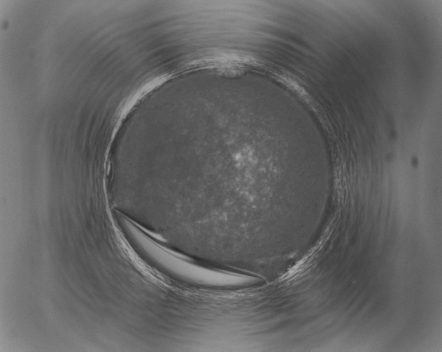 X0000055991034200509021633