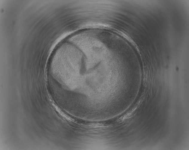 X0000055991037200509021633