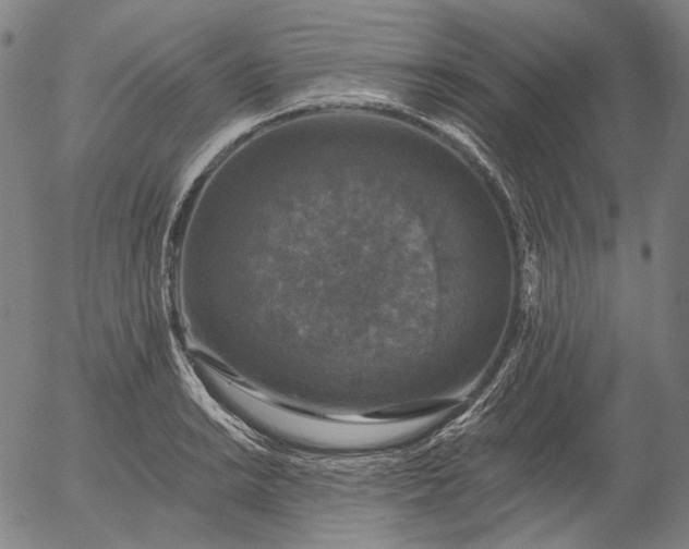 X0000055991038200509021633