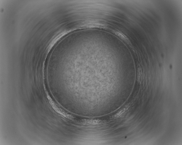 X0000055991039200509021633