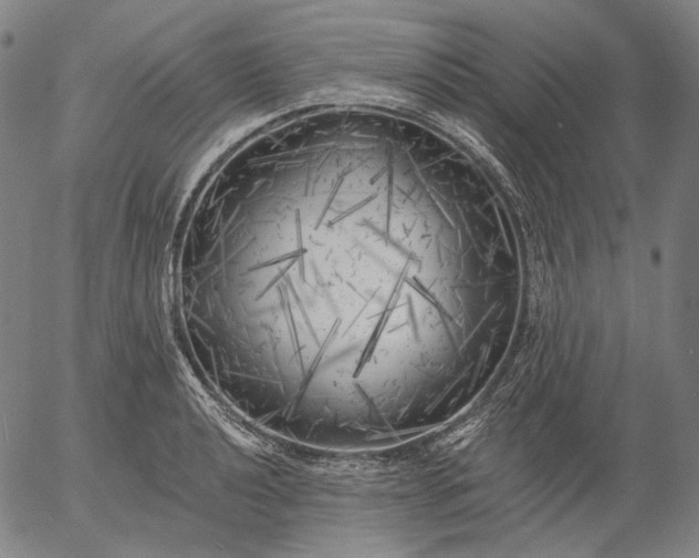 X0000055991040200509021633