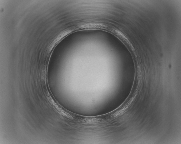 X0000055991041200509021633