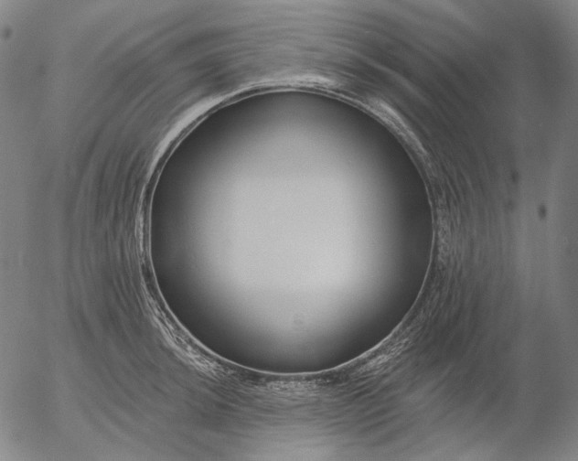 X0000055991044200509021633