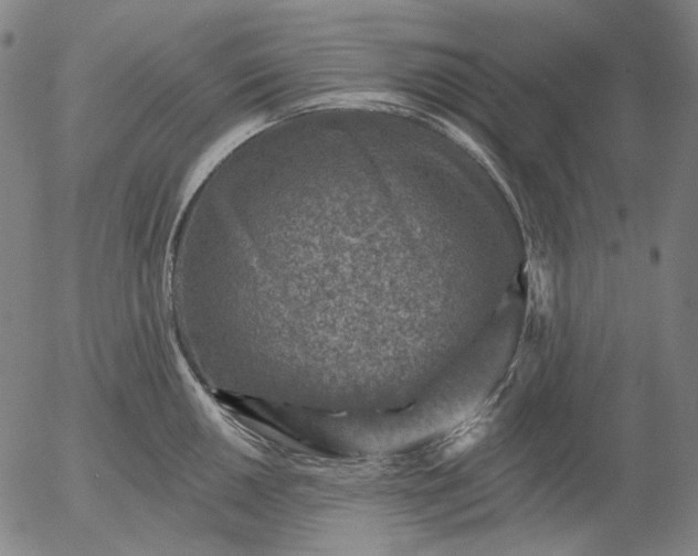 X0000055991050200509021633