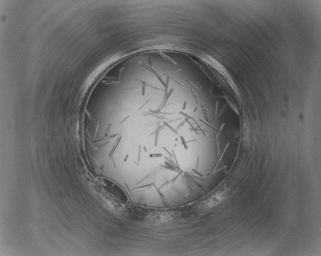 X0000055991051200509021633