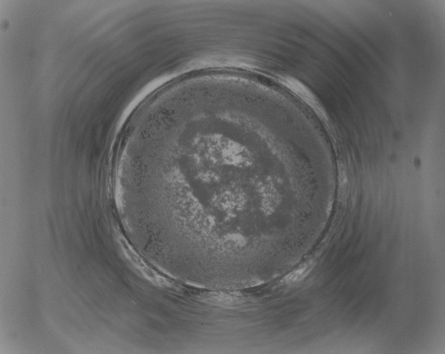 X0000055991052200509021633