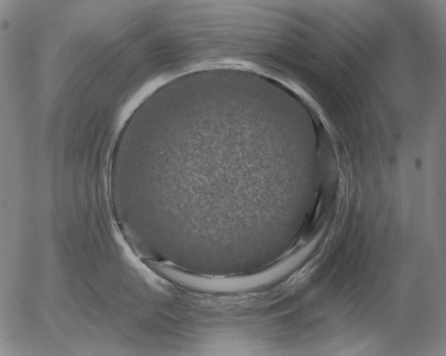 X0000055991054200509021633