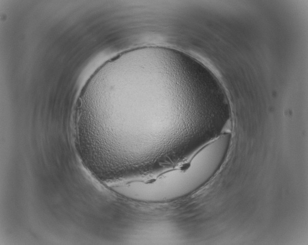 X0000055991056200509021633