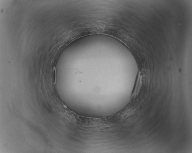 X0000055991057200509021632