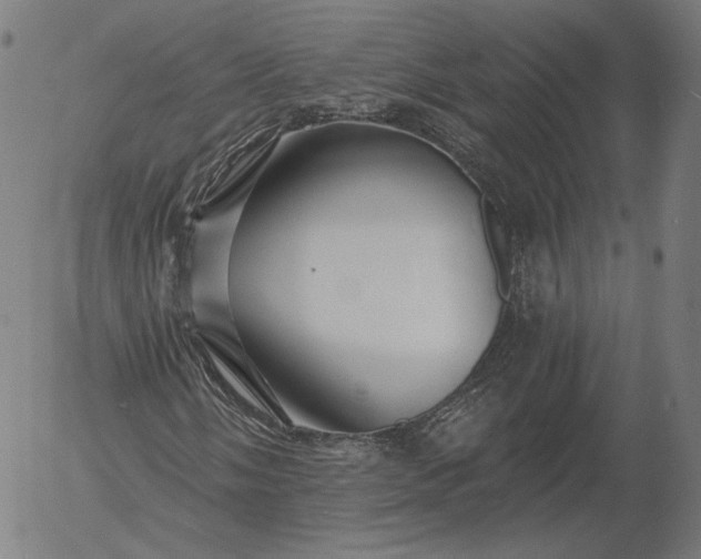 X0000055991058200509021632