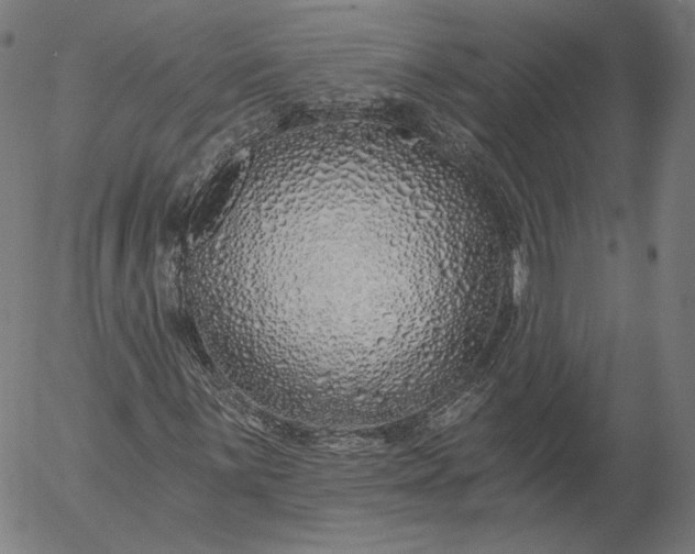 X0000055991059200509021632