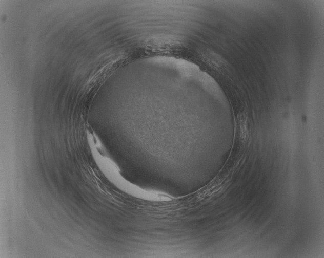 X0000055991060200509021632