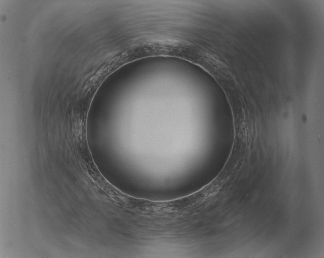 X0000055991061200509021632