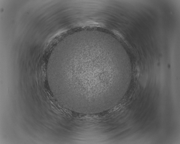 X0000055991063200509021632