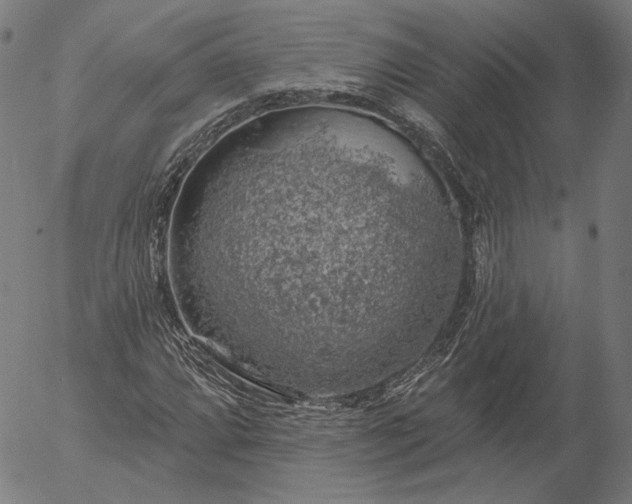 X0000055991064200509021632