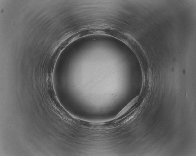 X0000055991065200509021632