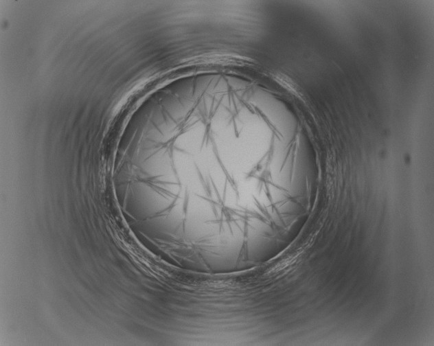 X0000055991067200509021632