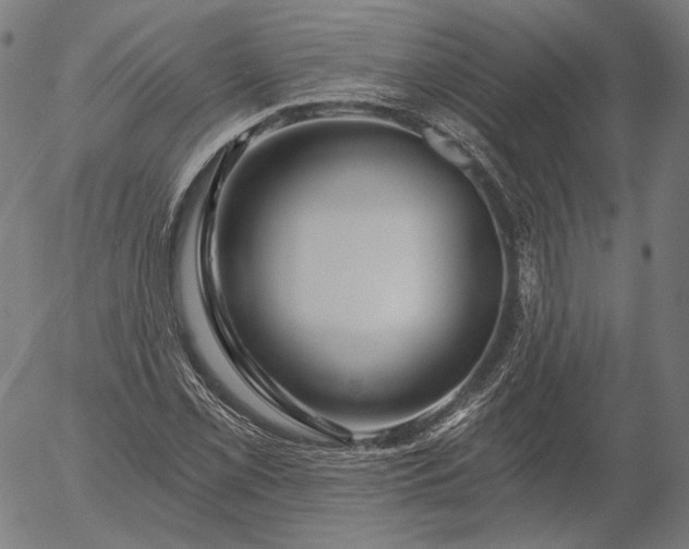 X0000055991069200509021632