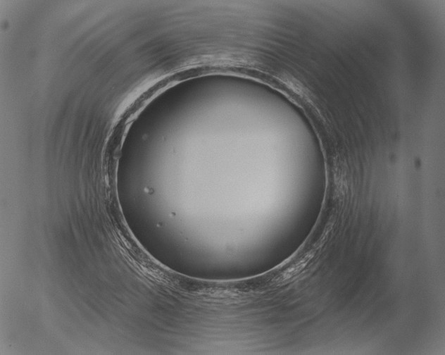 X0000055991070200509021632