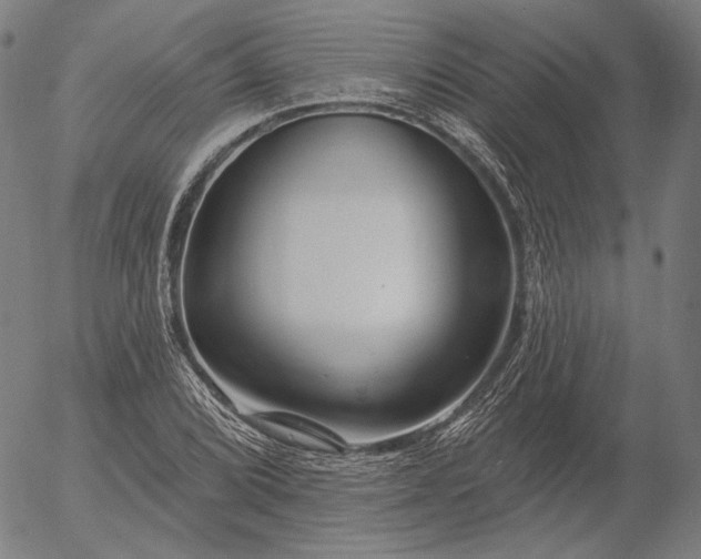 X0000055991072200509021632