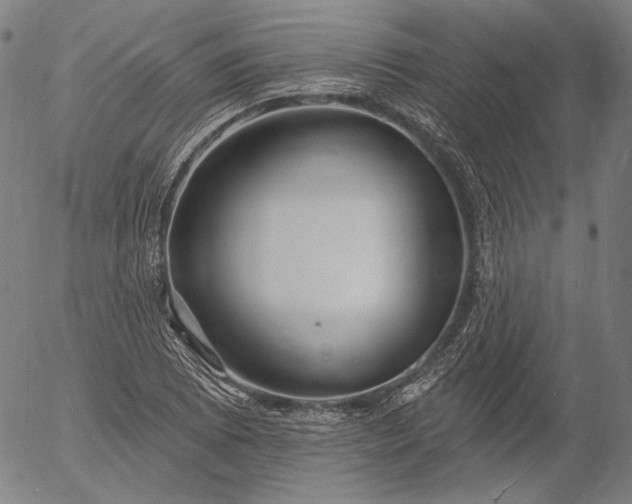 X0000055991073200509021632