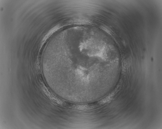 X0000055991074200509021632