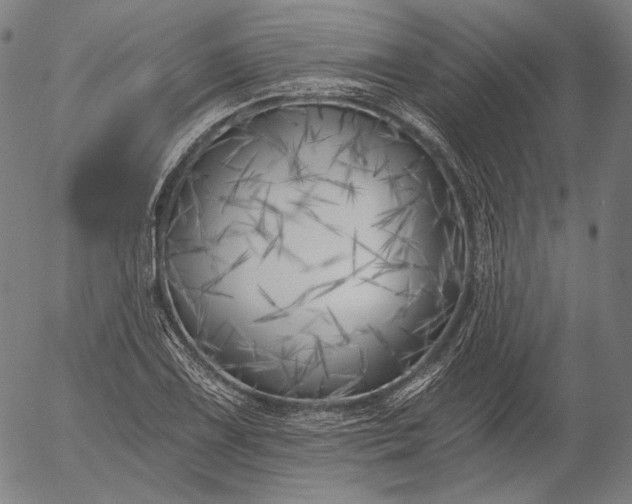 X0000055991075200509021632