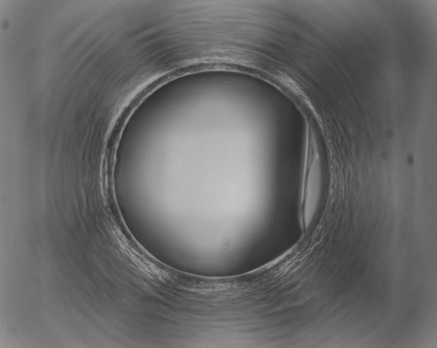 X0000055991076200509021632