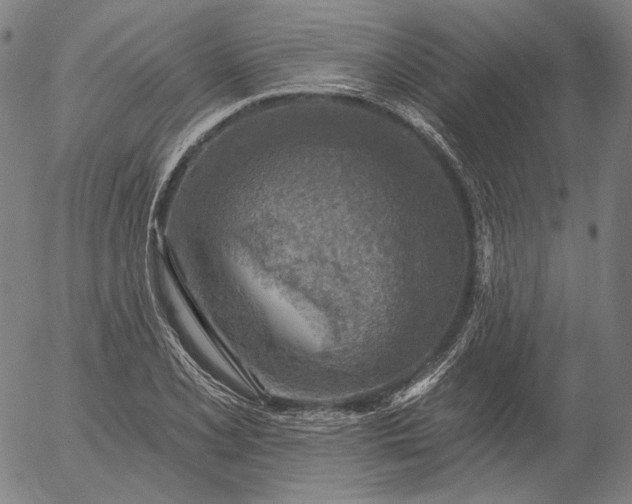 X0000055991077200509021632