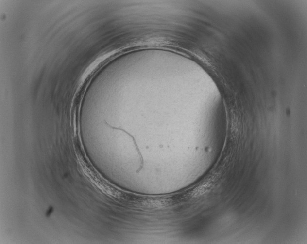 X0000055991078200509021632