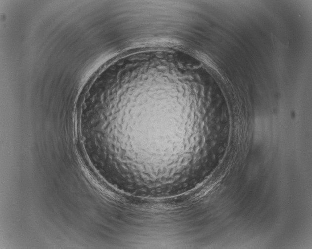 X0000055991079200509021632