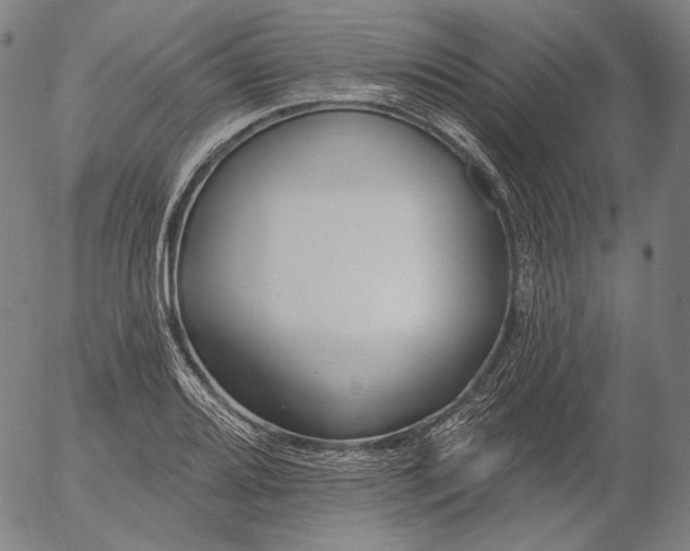 X0000055991080200509021632