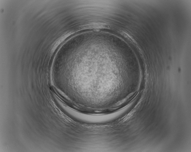 X0000055991081200509021632