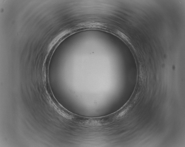 X0000055991082200509021632