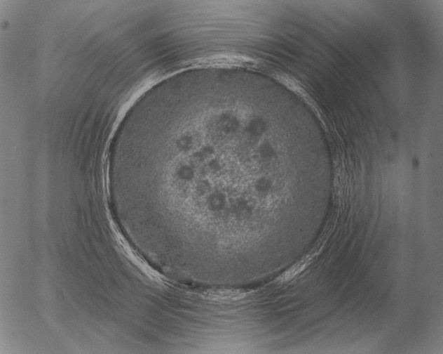 X0000055991083200509021632