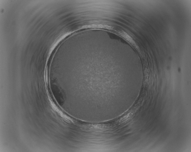 X0000055991084200509021632