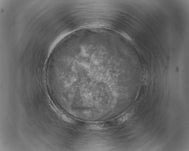 X0000055991086200509021632