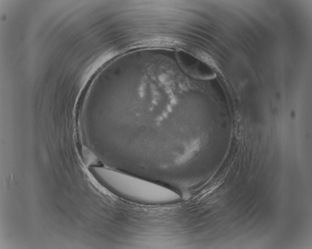 X0000055991087200509021632