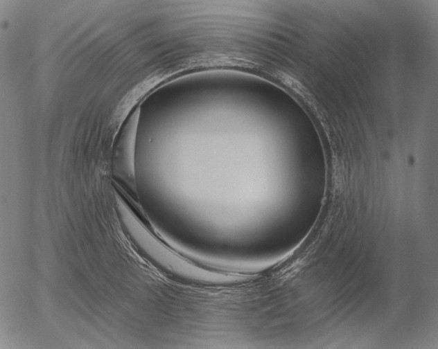 X0000055991089200509021632