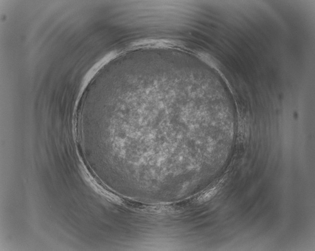 X0000055991090200509021632