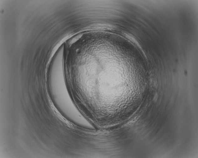 X0000055991091200509021632