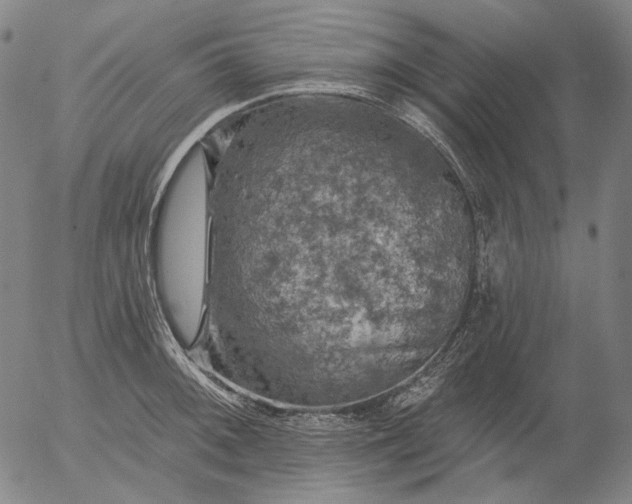 X0000055991092200509021632