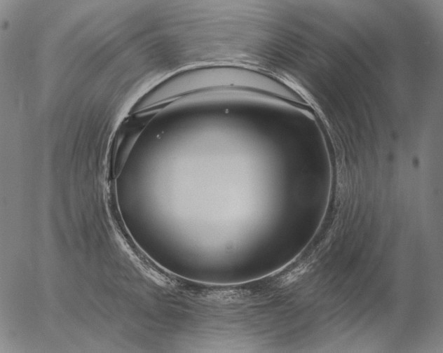 X0000055991093200509021632